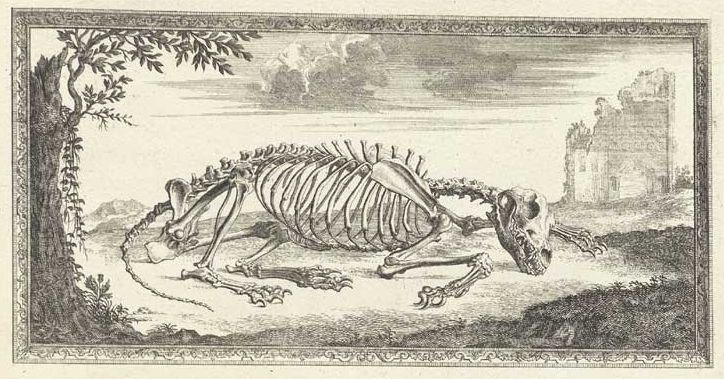 Black and white engraving of a lion skeleton lying on the ground with a tree and castle ruin in the background, all framed by an ornate border.