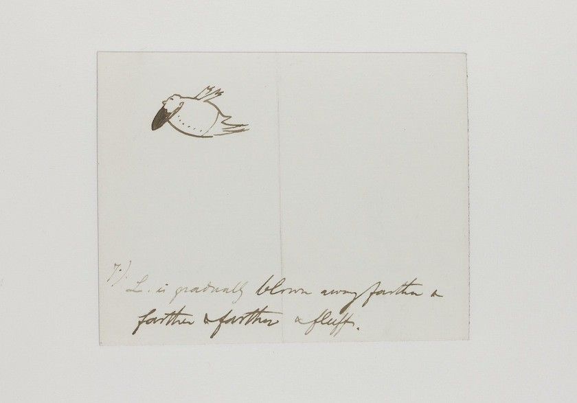 A vintage illustration of a bird with handwritten text below.