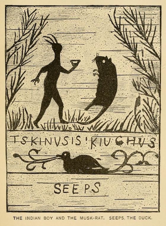 Vintage illustration of an Indigenous boy and a muskrat, with a duck below. The style is reminiscent of woodcut or etching.