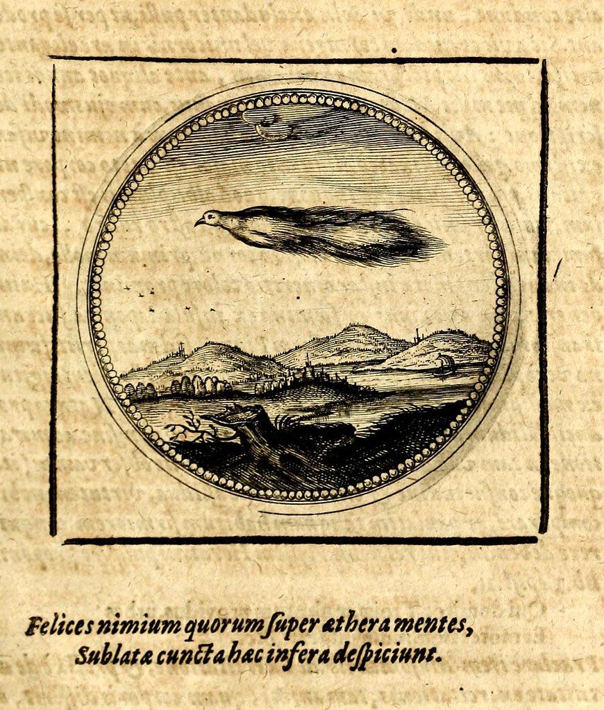 Vintage engraving of a bird flying over a town within an oval frame, with text below.