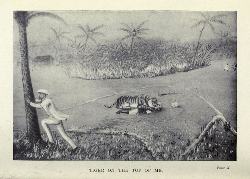 A black and white illustration of a man struggling with a tiger in a jungle setting.