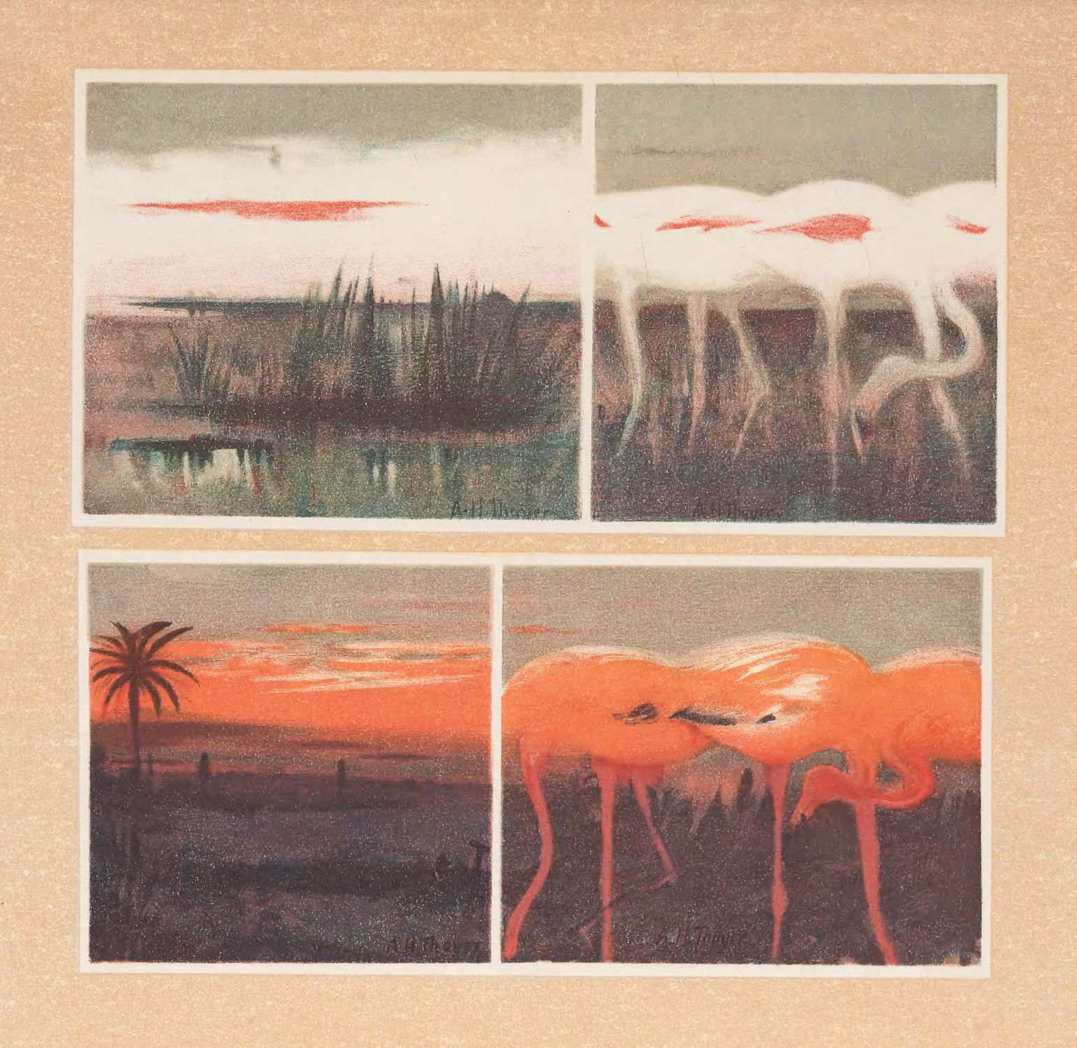 A collage of four square panels, each depicting a landscape scene with a vintage, textured aesthetic. The overall color palette is warm, with shades of orange, red, green, and brown dominating the composition. The texture appears grainy, reminiscent of old lithographs or vintage postcards.