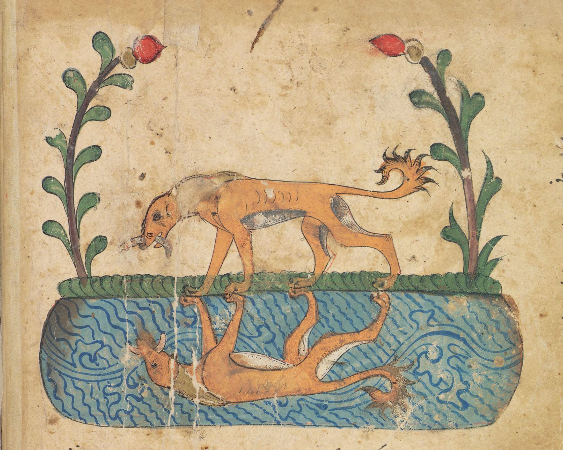 Medieval illustration of a lion attacking a deer in water, framed by stylized plants.