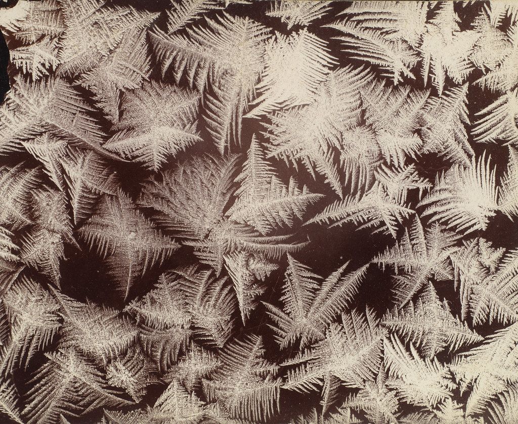 Close-up of intricate frost patterns on a dark surface.