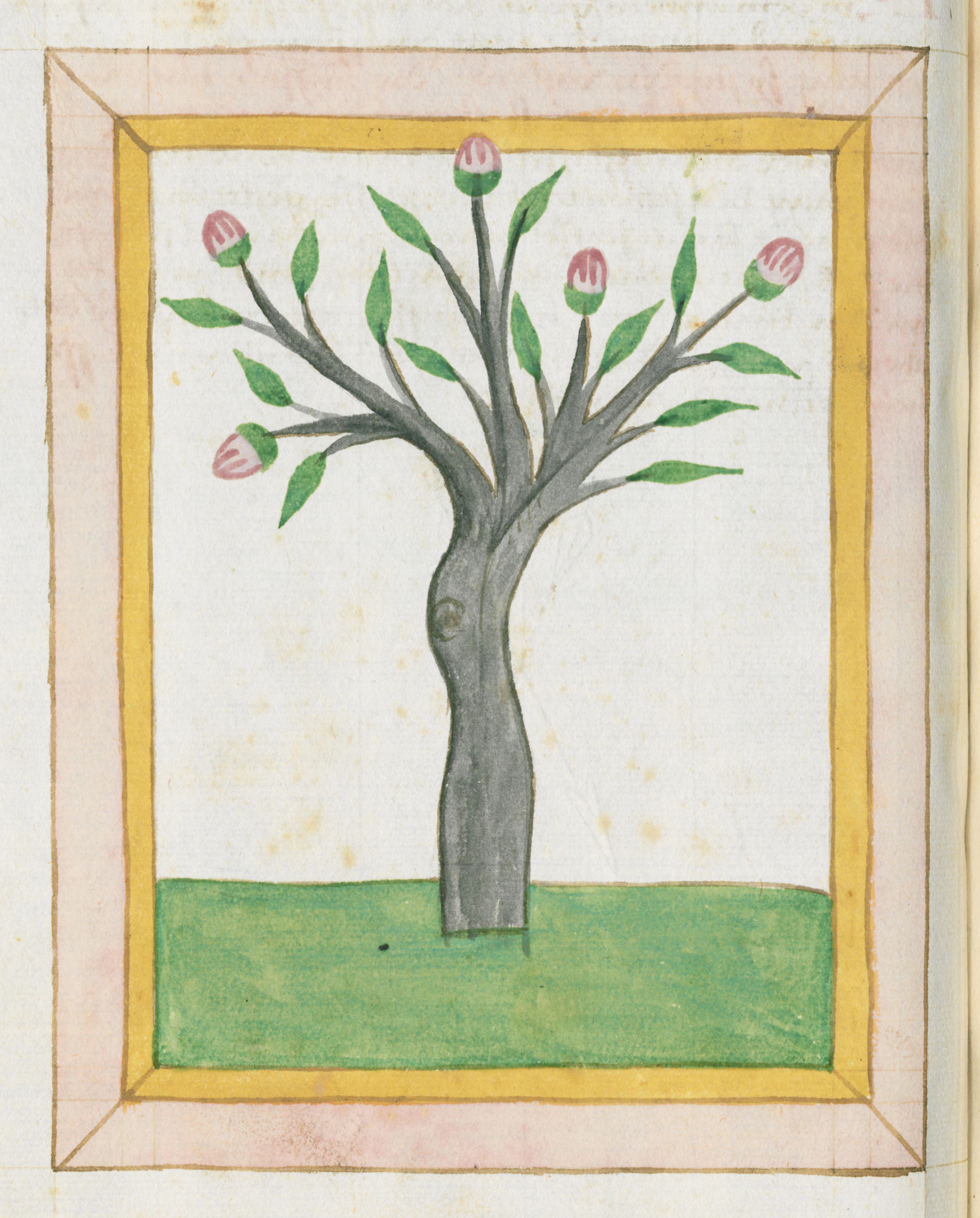 A medieval-style illustration of a tree with pink flowers on a green ground, framed by a yellow border.