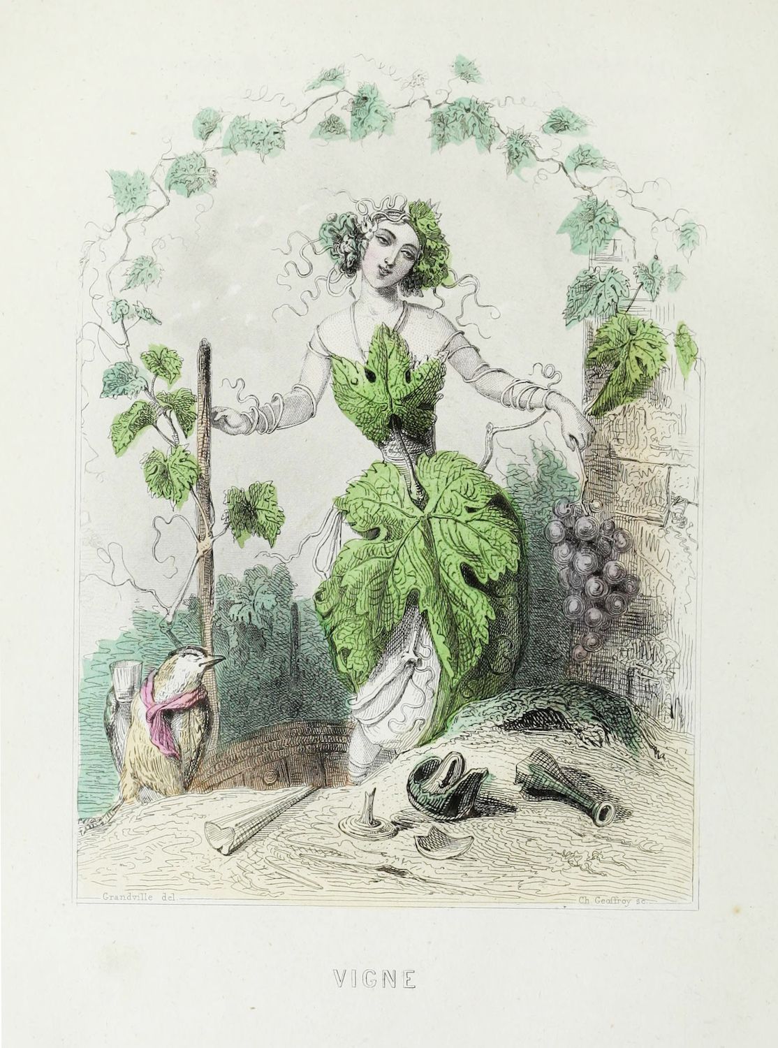A vintage illustration of a woman adorned with leaves, representing the spirit of the vine, surrounded by grapes, a bird, and harvest elements.