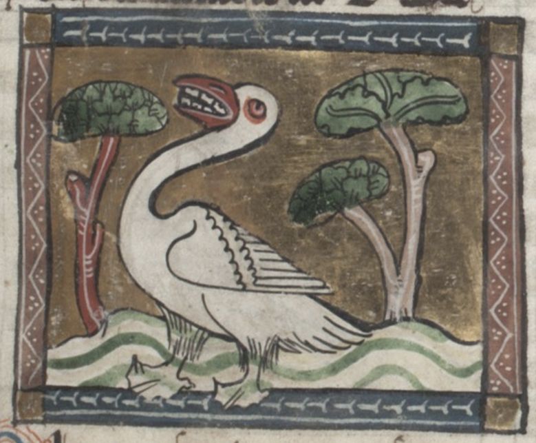 Medieval illustration of a white bird with a red beak standing between two trees on a wavy green ground, framed by an ornate border.