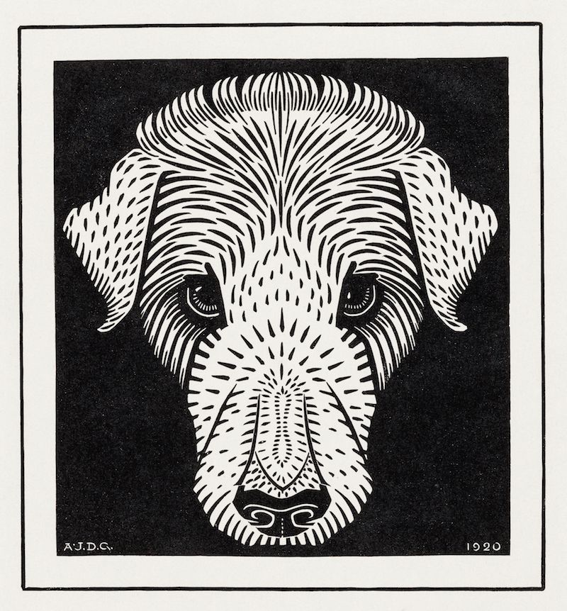 A black and white portrait of a dog's head, rendered in a highly stylized, graphic manner with dense, parallel lines.