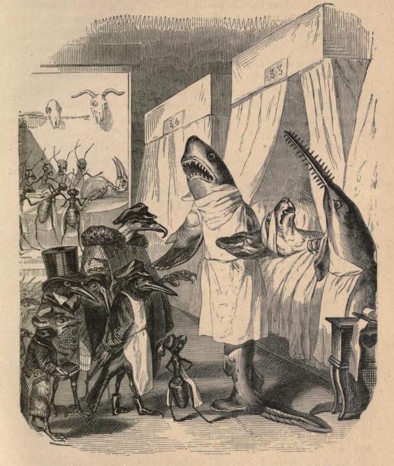 Vintage illustration of anthropomorphic animals attending a performance by two sharks on a stage.