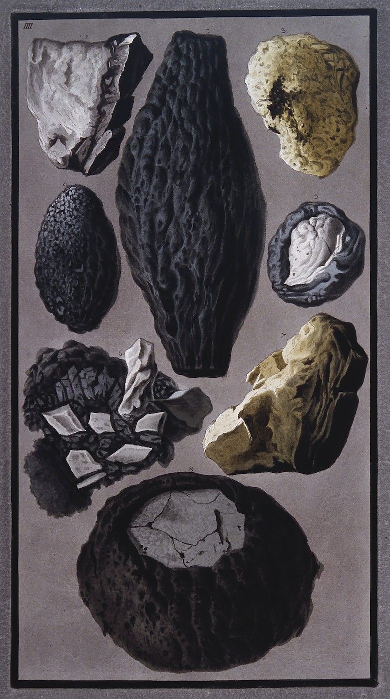 A vintage illustration of various mineral and rock specimens arranged on a dark gray background.