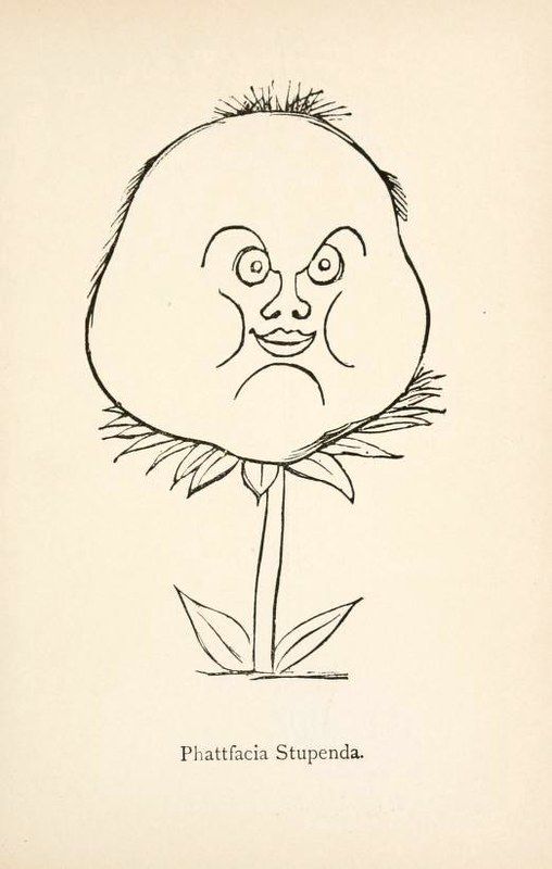 A vintage illustration of a flower with a human face, labeled 'Phattface Stupenda'.