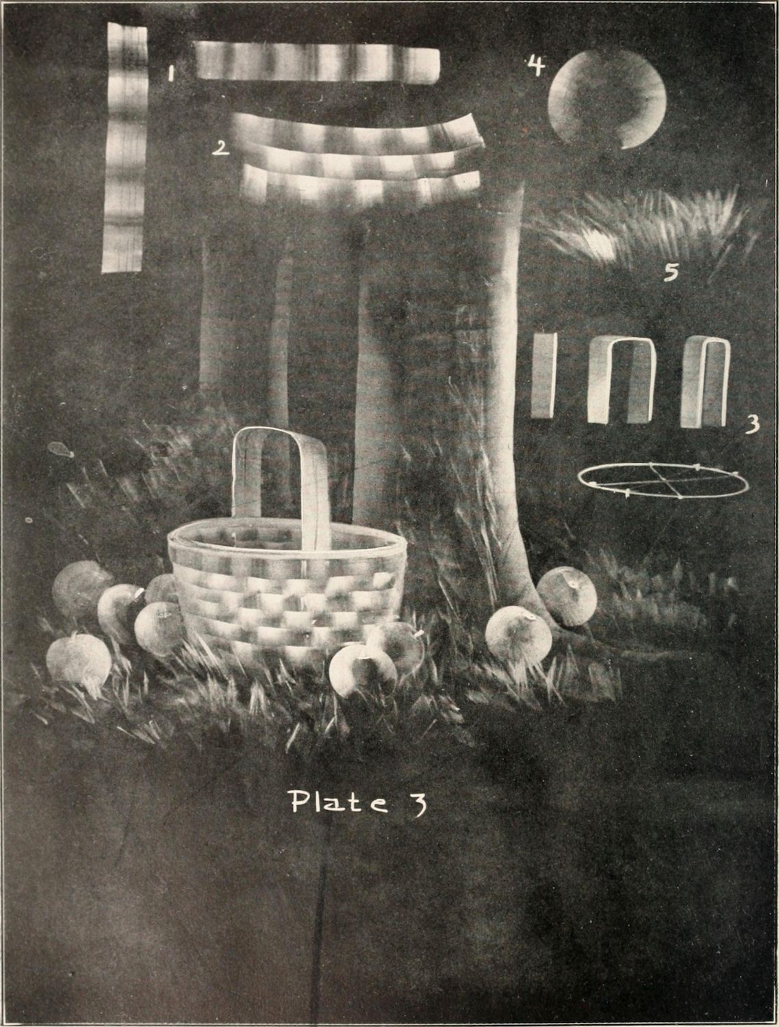 A black and white illustration of a basket of fruit in a field with trees and a moon.