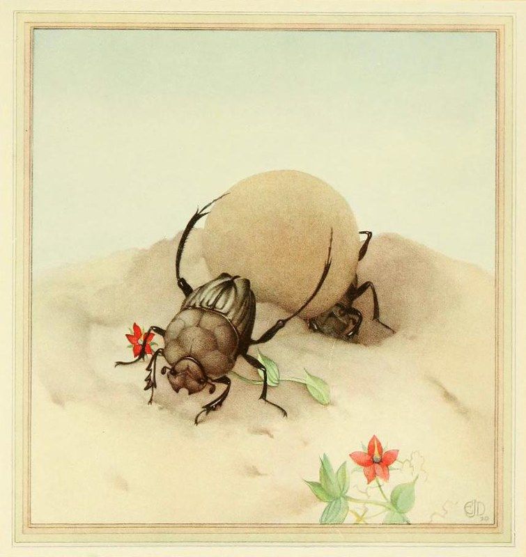 Watercolor painting of two dung beetles pushing a large ball of dung across a sandy dune, with flowers scattered around.