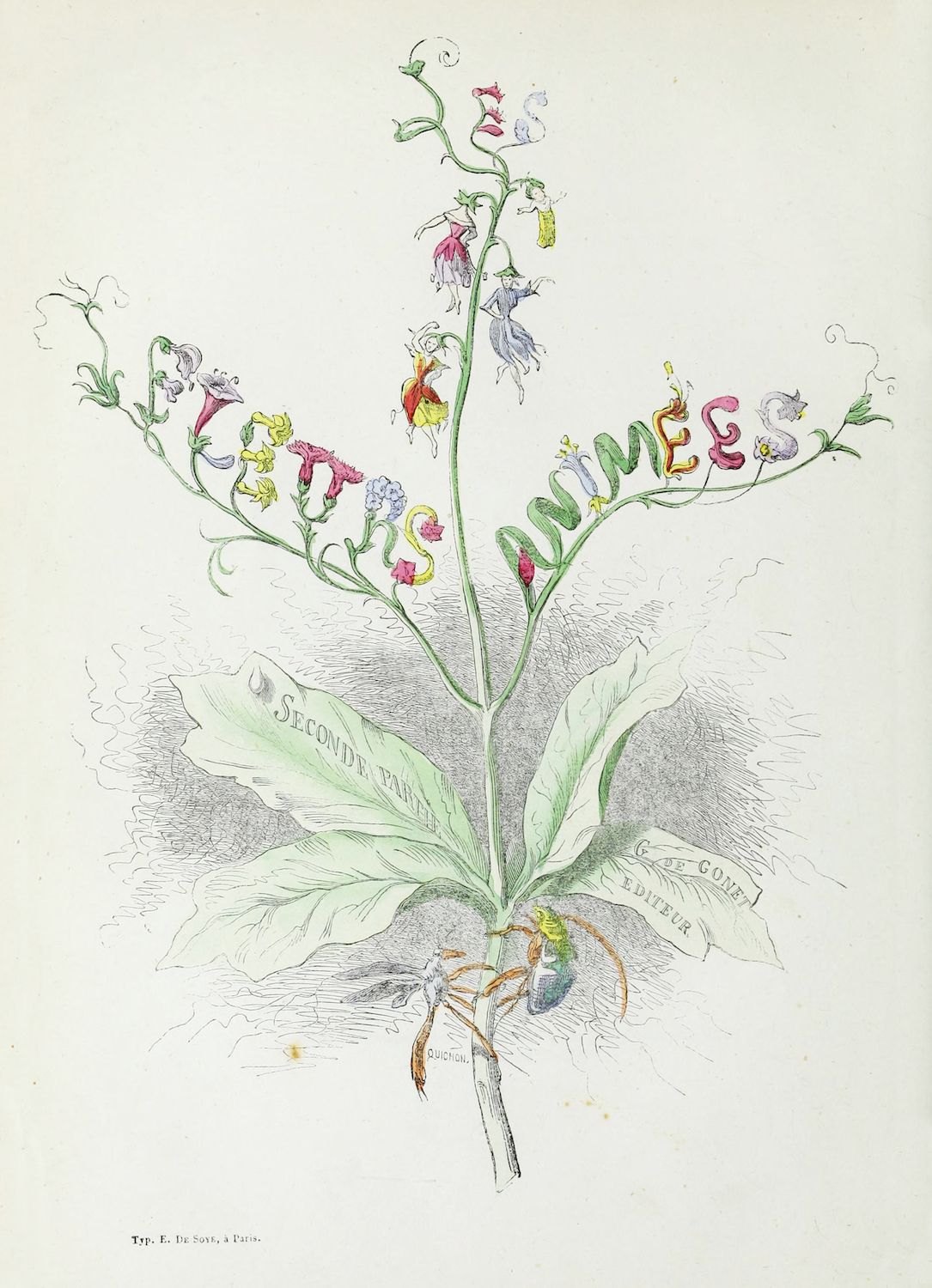 Vintage botanical illustration of a plant with colorful flowers and long leaves.