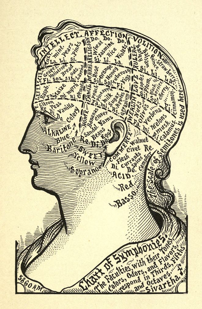 Vintage engraving of a woman's profile filled with text and botanical references, representing the connection between senses, emotions, and the natural world.