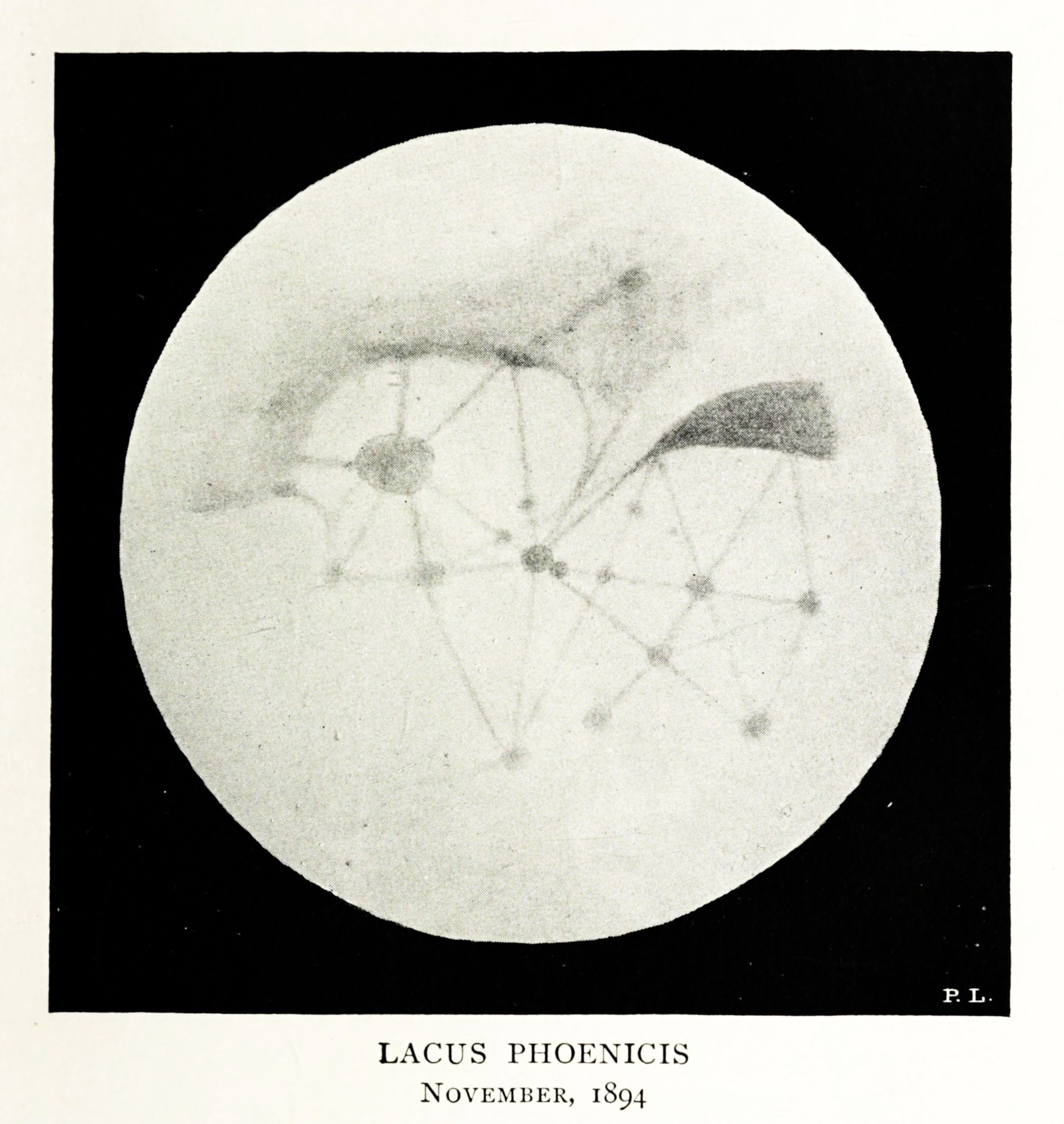 A black and white photograph of a circular celestial body, likely the moon, with dark craters and radiating lines, labeled 'LACUS PHOENICIS' and dated 'NOVEMBER, 1894'.