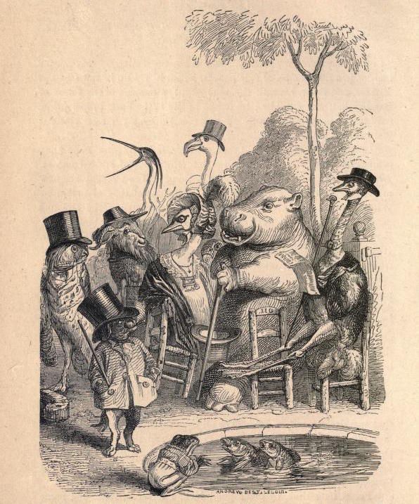 Vintage illustration of anthropomorphic animals gathered around a table and pond.
