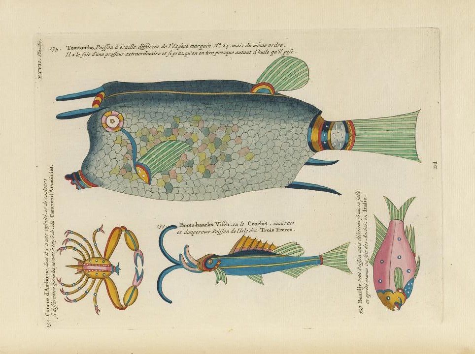 A vintage illustration of three fantastical fish, surrounded by French text. The largest fish is covered in scales and has elaborate, colorful fins and tail. Two smaller, stylized fish are positioned below, decorated with geometric patterns and vibrant colors.