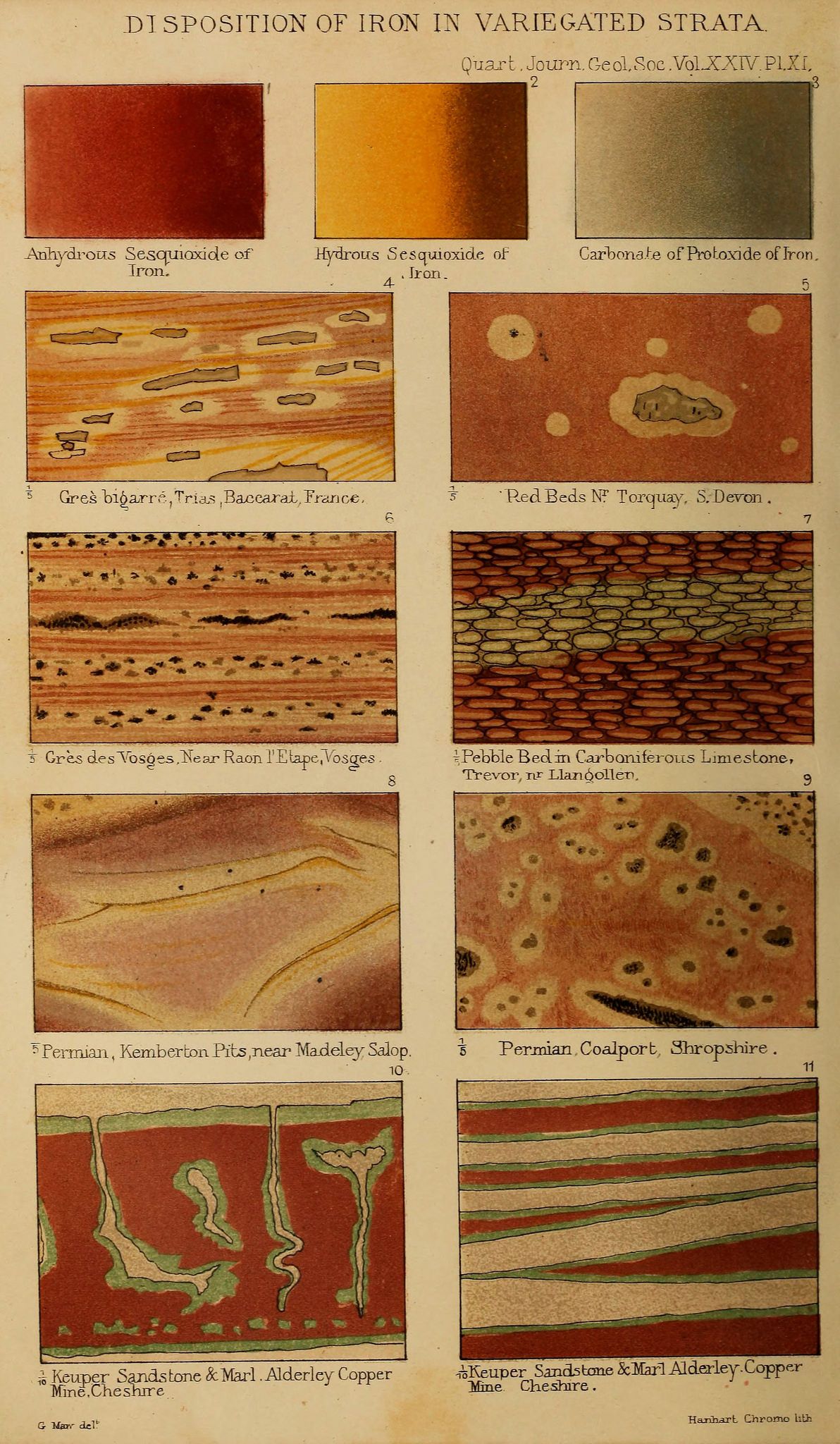 A plate from a geological journal showing eleven diagrams of rock samples with iron deposits, labeled with locations and descriptions.