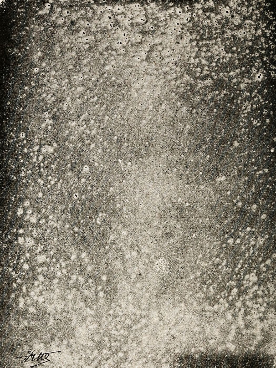Close-up of a heavily textured surface with a grainy, speckled pattern in muted shades of gray, beige, and off-white.