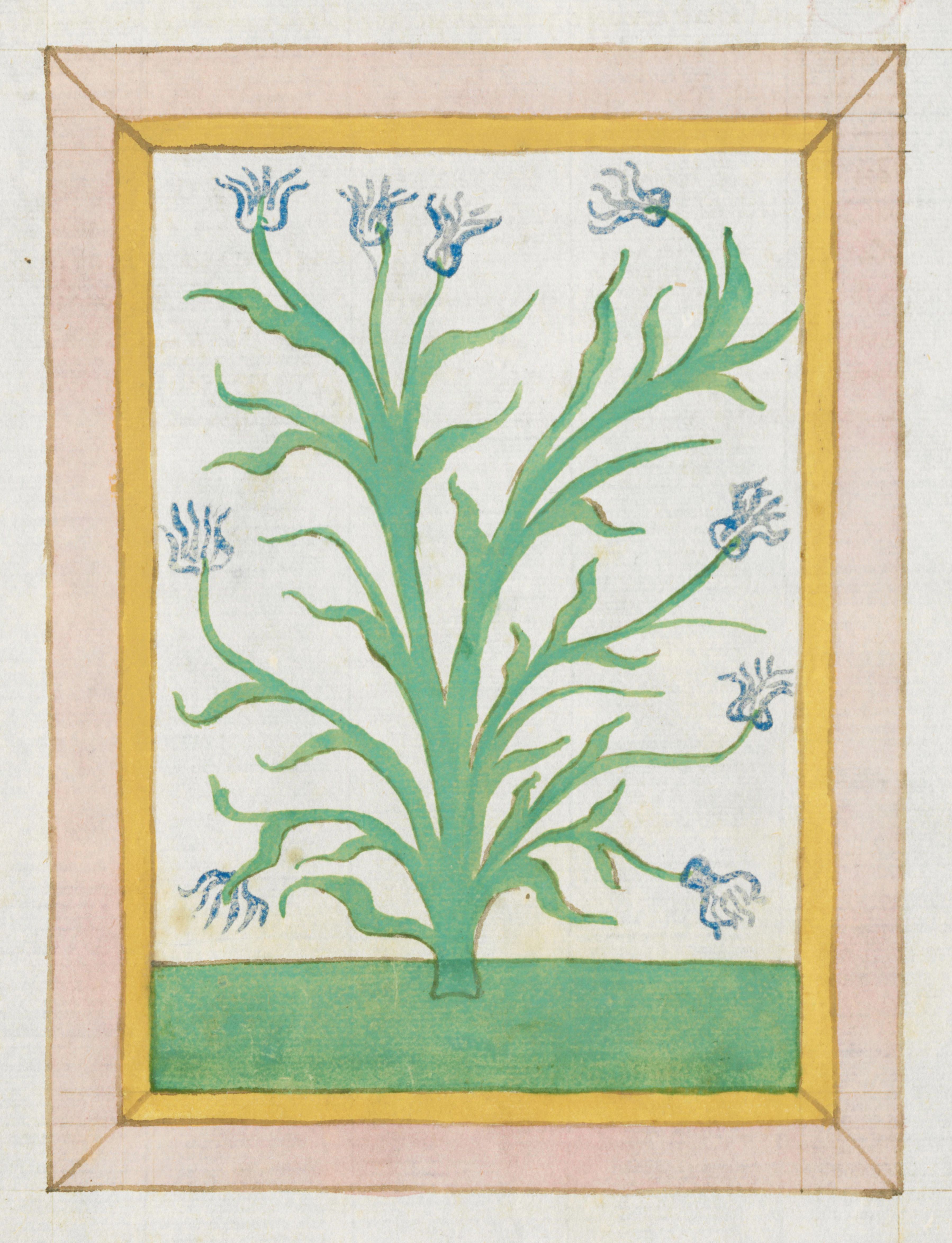 Vintage botanical illustration of a stylized plant with long leaves and blue flowers, framed by a pink and yellow border.