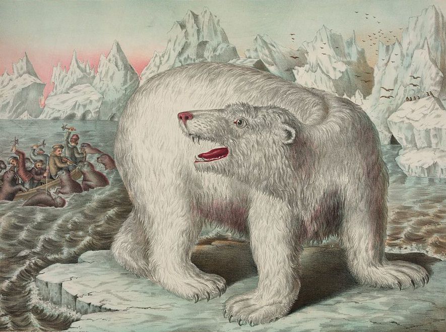 Vintage illustration of a polar bear roaring at a group of people in boats amidst icebergs and arctic waters.