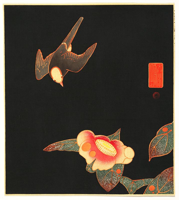 A Japanese woodblock print featuring a swallow in flight above a blooming camellia flower against a black background.
