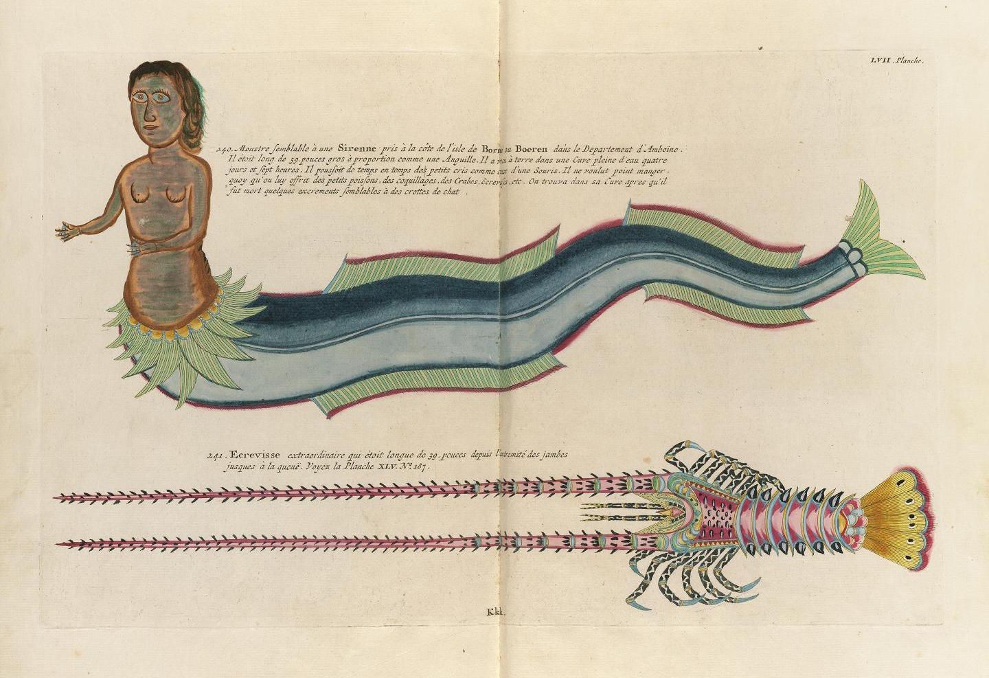 Antique illustration of a human figure and a serpentine sea creature, along with a colorful crab, from a natural history book.
