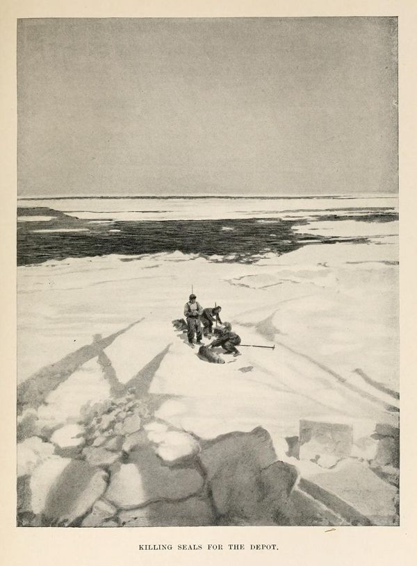 A black and white illustration of three people processing seals on a snowy, icy landscape. The caption reads 'Killing Seals for the Depot'.