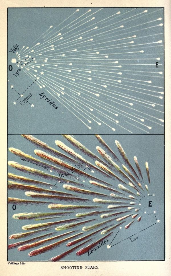 Vintage illustration of shooting stars, divided into two panels, depicting meteor showers originating from constellations Lyra and Ursa Major.