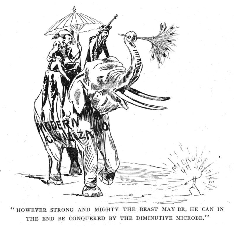 A black and white cartoon showing a large elephant labeled 'MODERN' being attacked by a tiny microbe. A man rides the elephant with an umbrella.