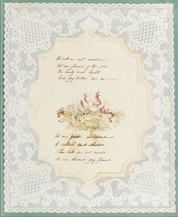 A vintage piece of paper with handwritten text and a watercolor floral arrangement, framed by a delicate lace border.
