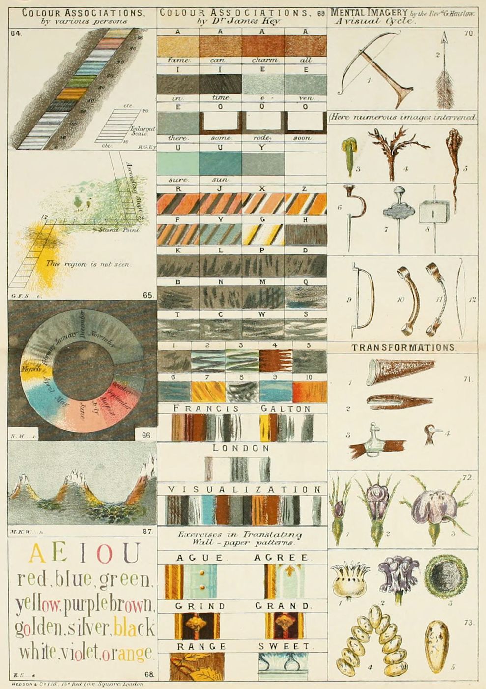 A collage of vintage scientific charts and diagrams, reminiscent of a 19th-century psychology or physiology study.