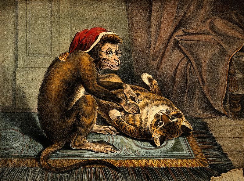 A vintage illustration of a monkey dressed as Santa performing surgery on a cat.