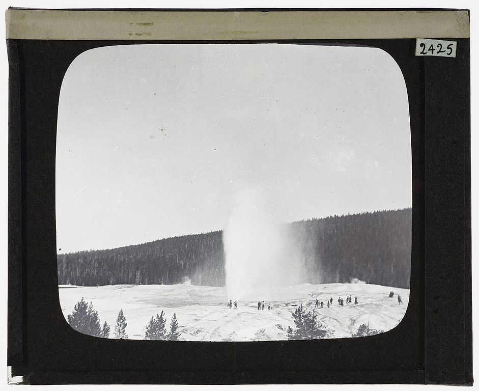 Black and white photograph of a geyser erupting with people watching, surrounded by trees.