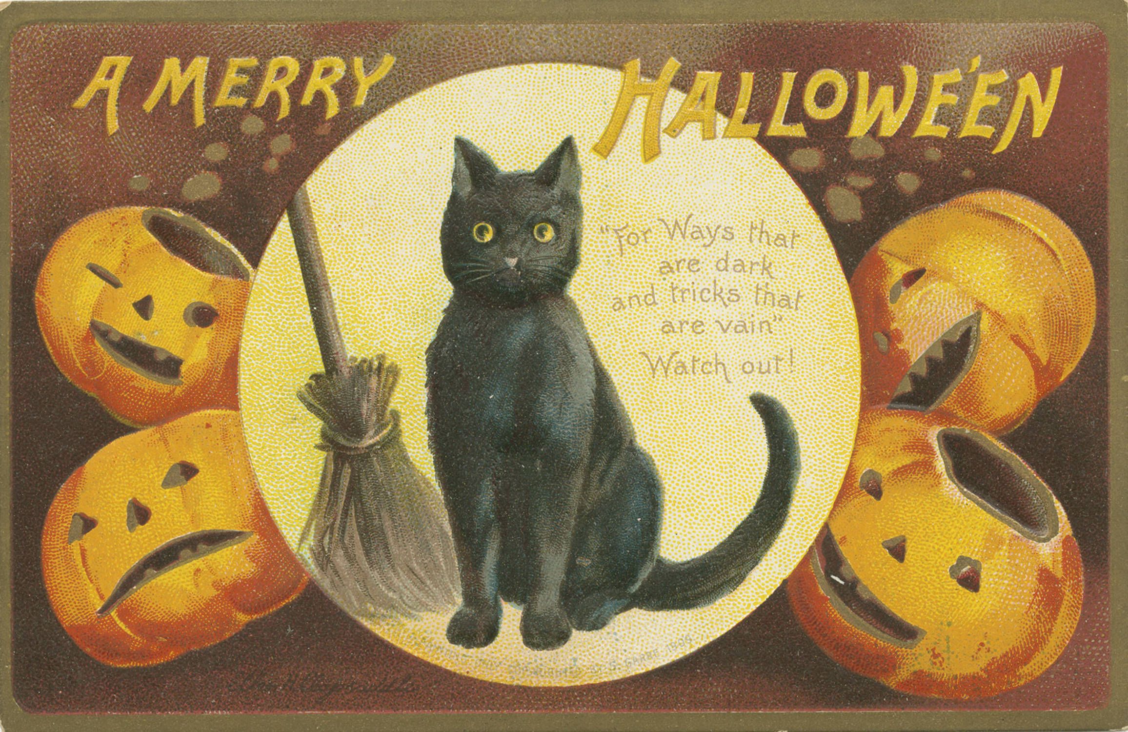 Vintage Halloween postcard featuring a black cat, pumpkins, and a broom.