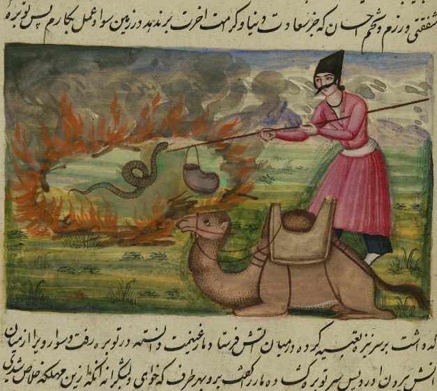 A vibrant, detailed illustration of a man riding a camel amidst a raging fire.