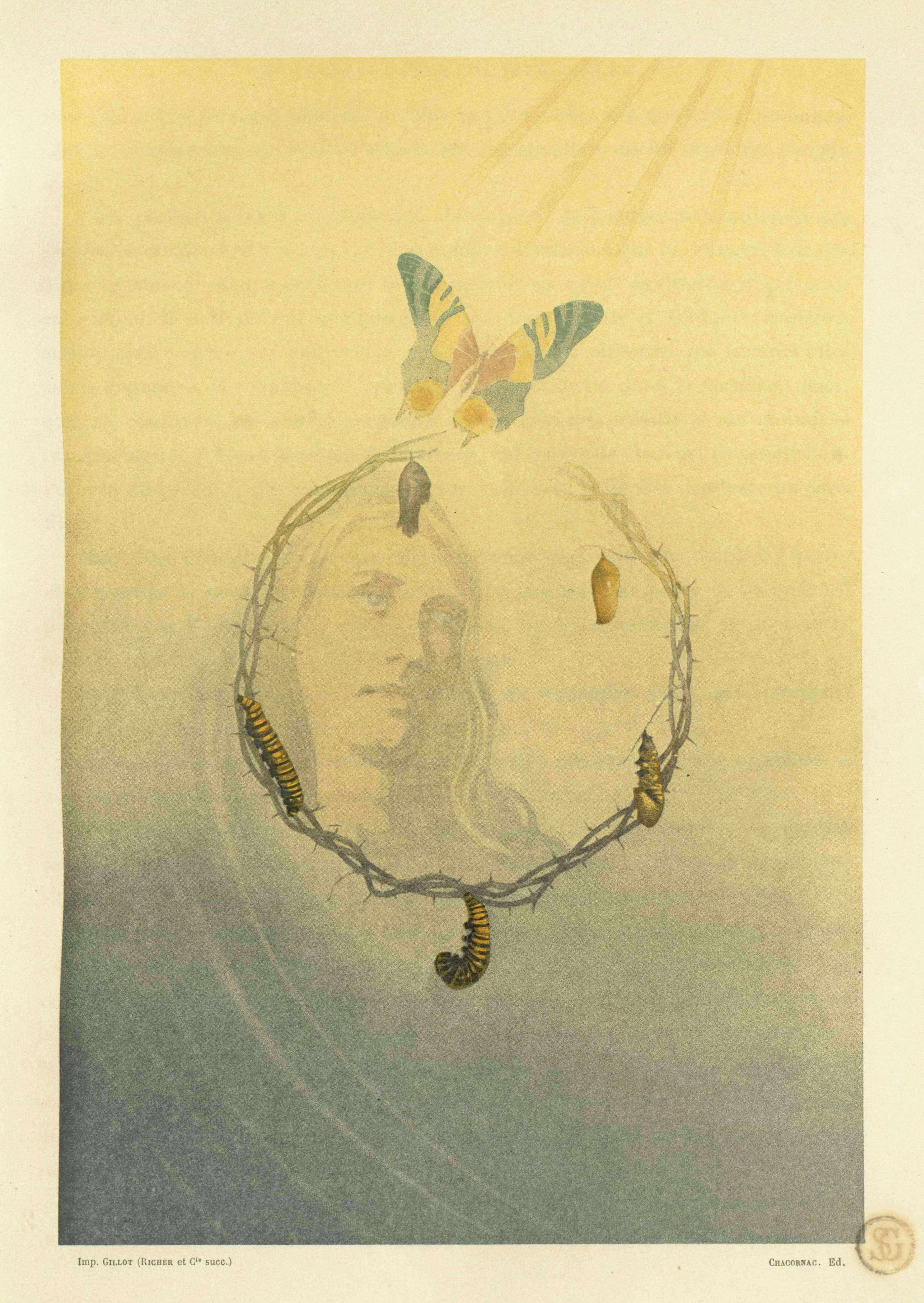 Vintage illustration of a woman's face surrounded by a crown of thorns made of butterfly life cycle stages.