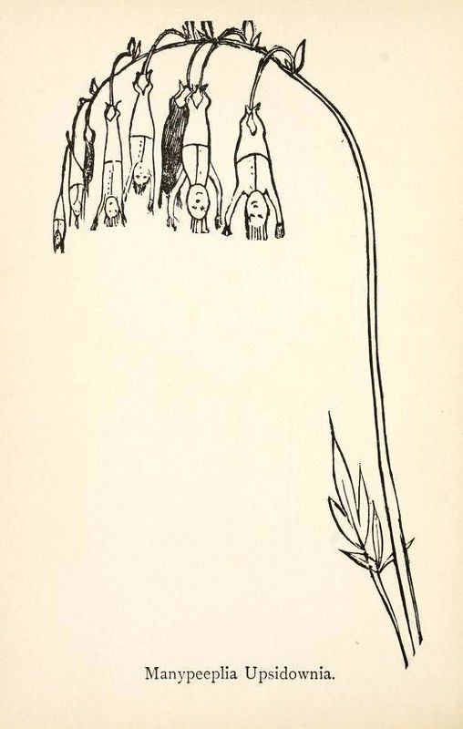 Vintage botanical illustration of a plant with upside-down human figures hanging from it, labeled 'Manypeepia Upsidownia'.