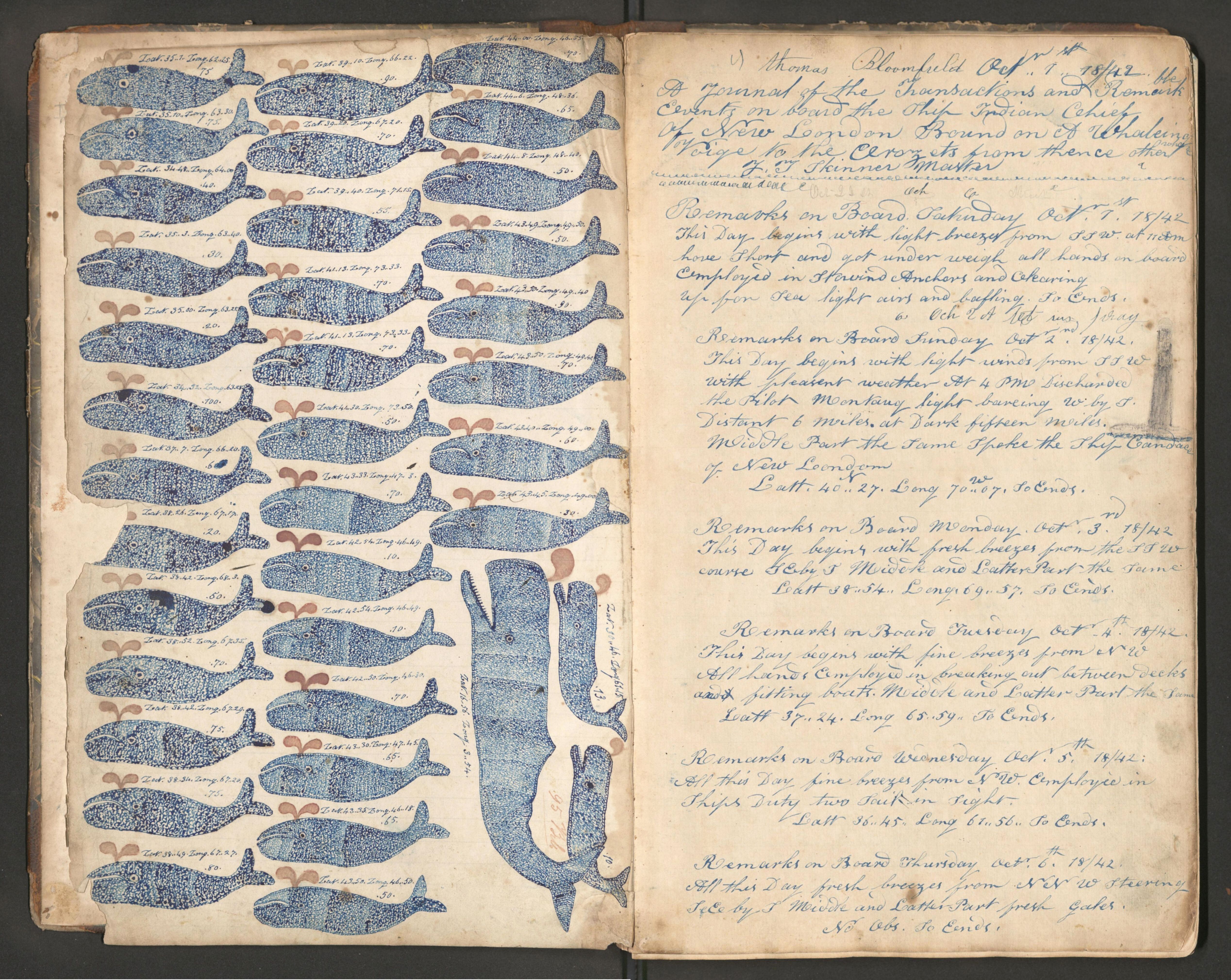 Open page from a logbook or journal with whale illustrations and handwritten text.