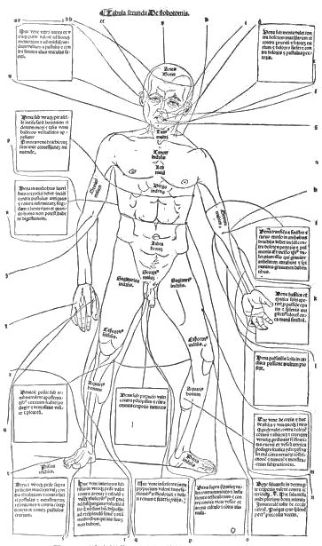 Vintage anatomical diagram of a nude male with lines and labels in boxes.