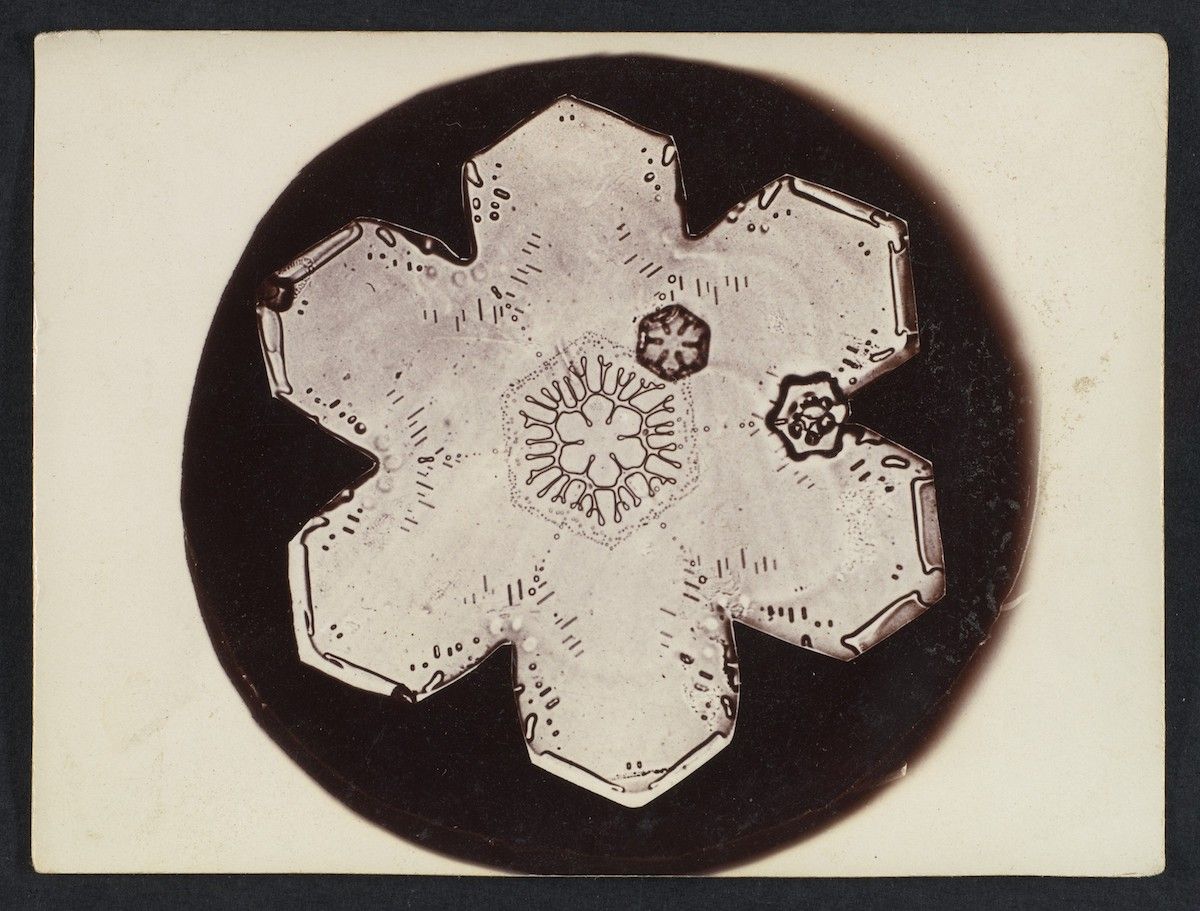 A black and white photograph of a snowflake with a six-sided, star-like shape, showcasing its intricate crystalline structure.