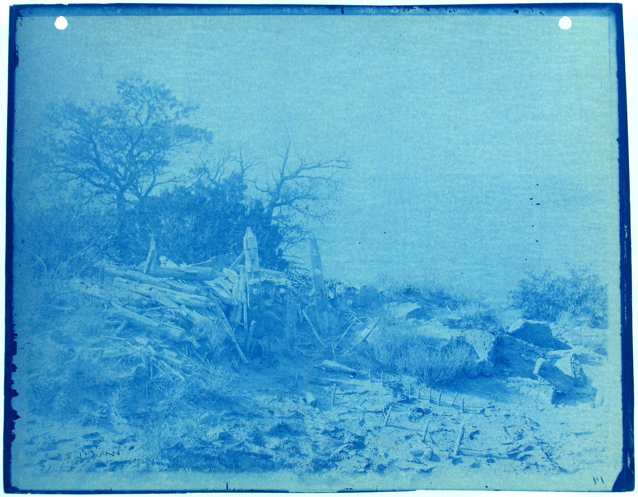 Cyanotype photograph of a landscape with ruins, featuring trees, bushes, and debris against a bright blue sky.