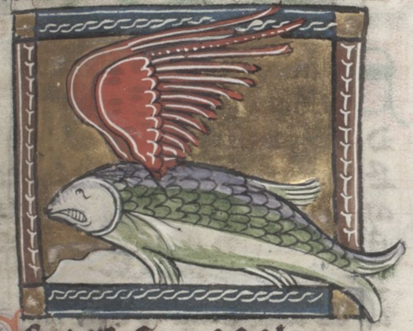 Medieval illustration of a winged fish within a decorative border.