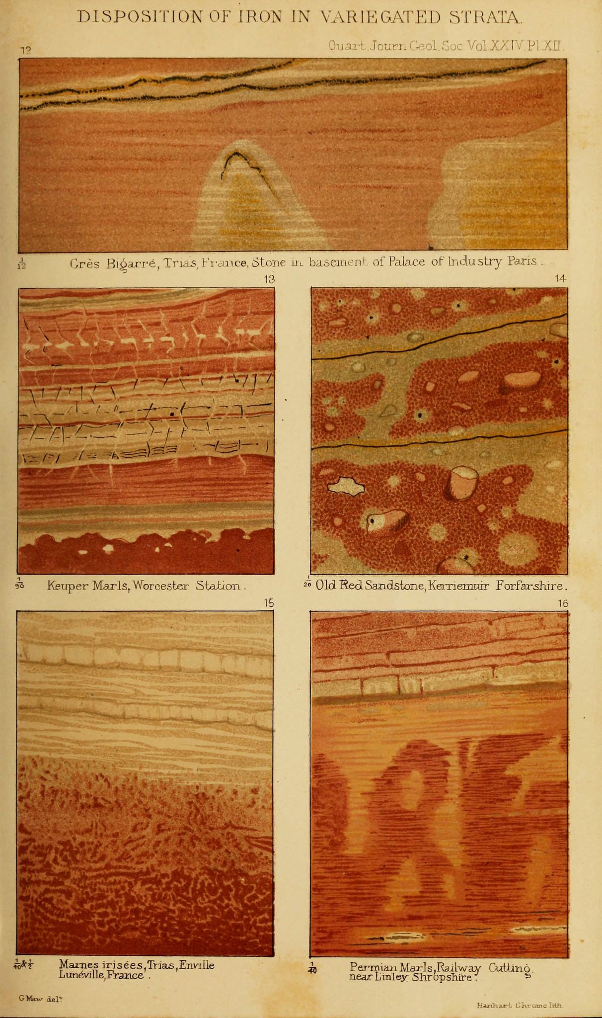 A vintage scientific illustration titled "Disposition of Iron in Variegated Strata". It features six rectangular panels, each showcasing a different geological sample or rock formation with descriptions.