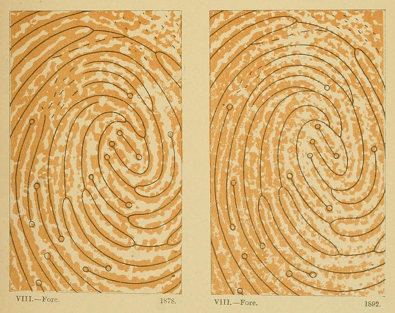 Two diagrams side-by-side, each depicting a spiral pattern with small circles marking points along the path. The diagrams are labeled with text indicating 'VIII.—Fore.' and dates '1878' and '1892'.