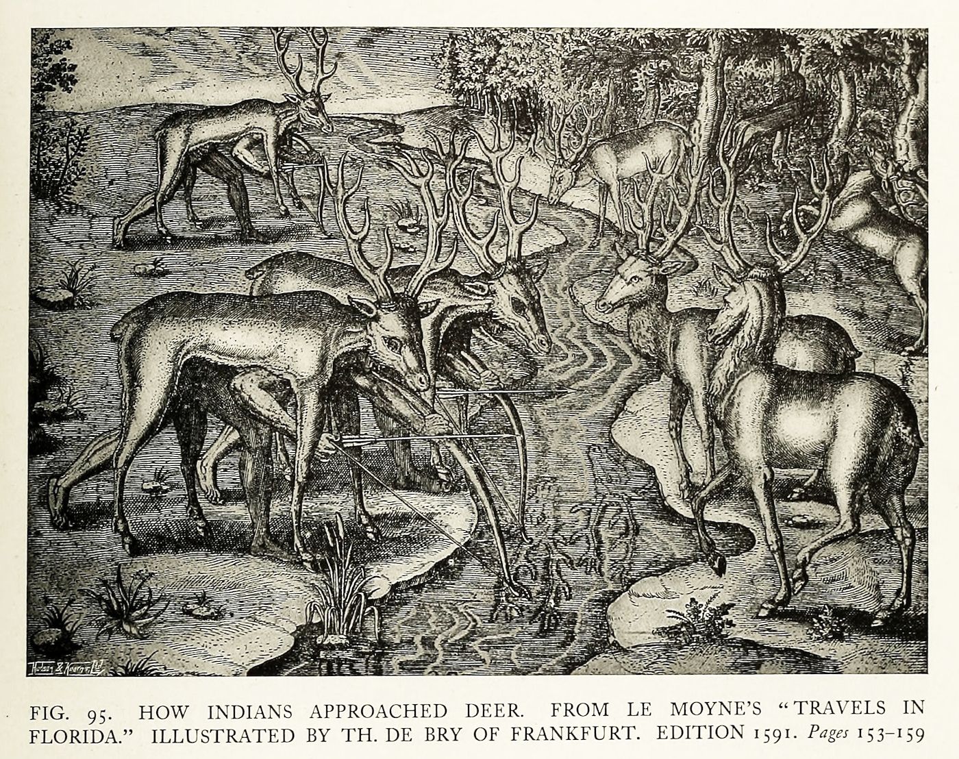 A black and white woodcut illustration depicting Native Americans approaching deer in a forest.