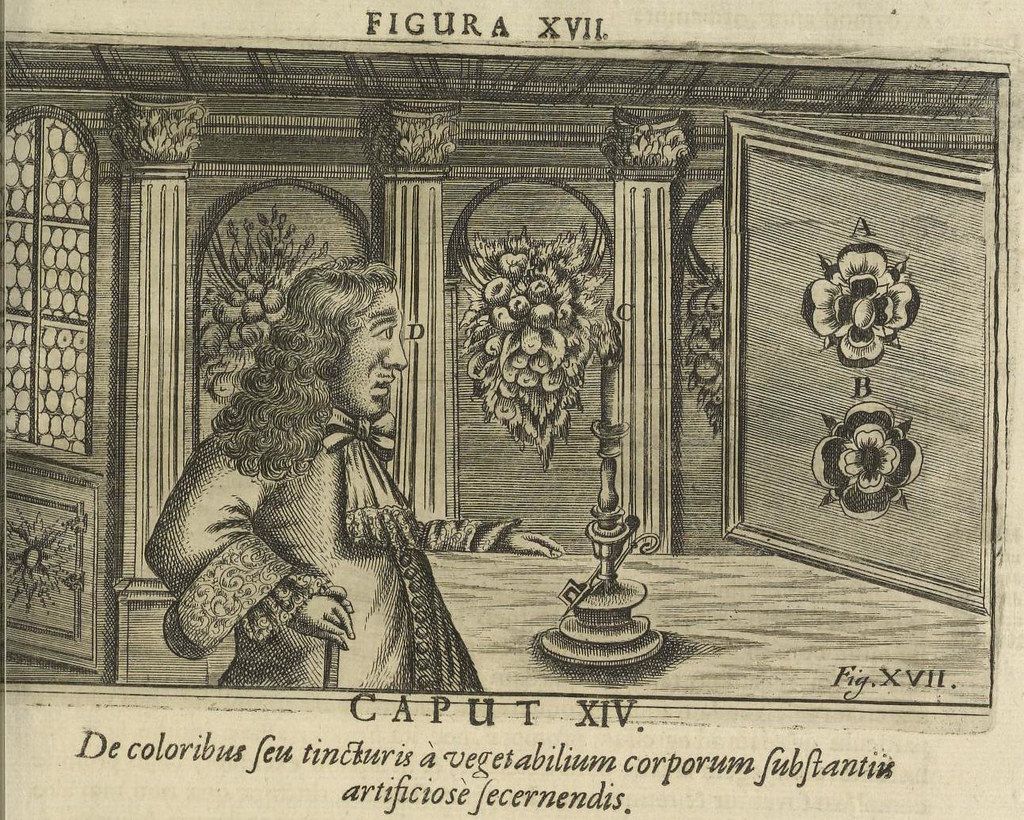 A black and white engraving depicting a man in a wig standing next to a floral arrangement and a lamp in a room with classical architectural elements. There are botanical designs labeled with letters to the right. Latin text is present at the top and bottom of the image.