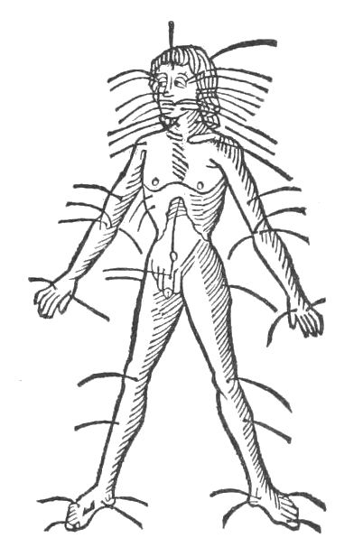 A black and white woodcut illustration of a nude human figure covered in needles.