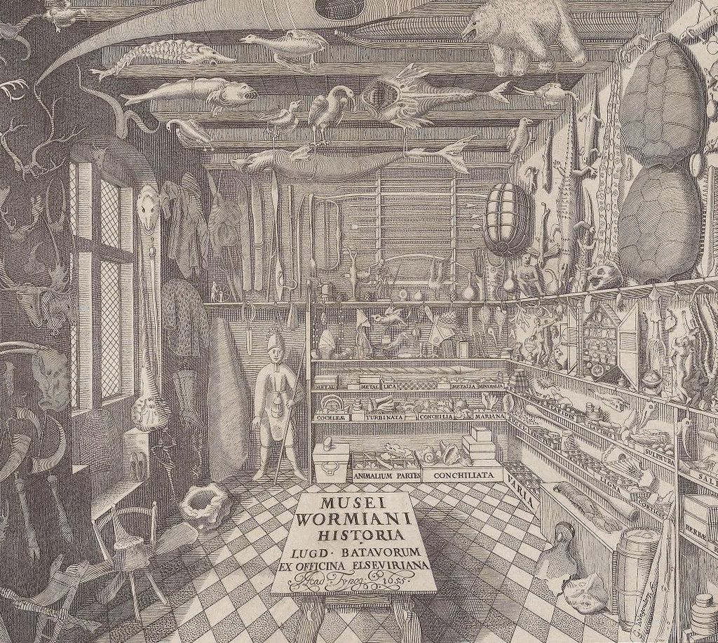 A detailed black and white engraving depicting the interior of a cabinet of curiosities, a type of early museum.
